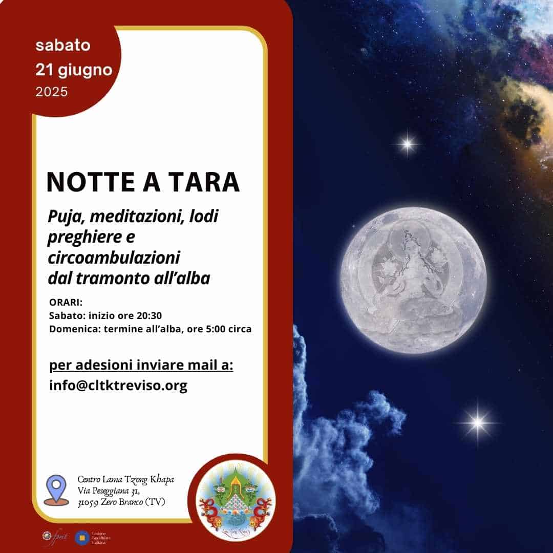Notte a Tara 2025 (1)